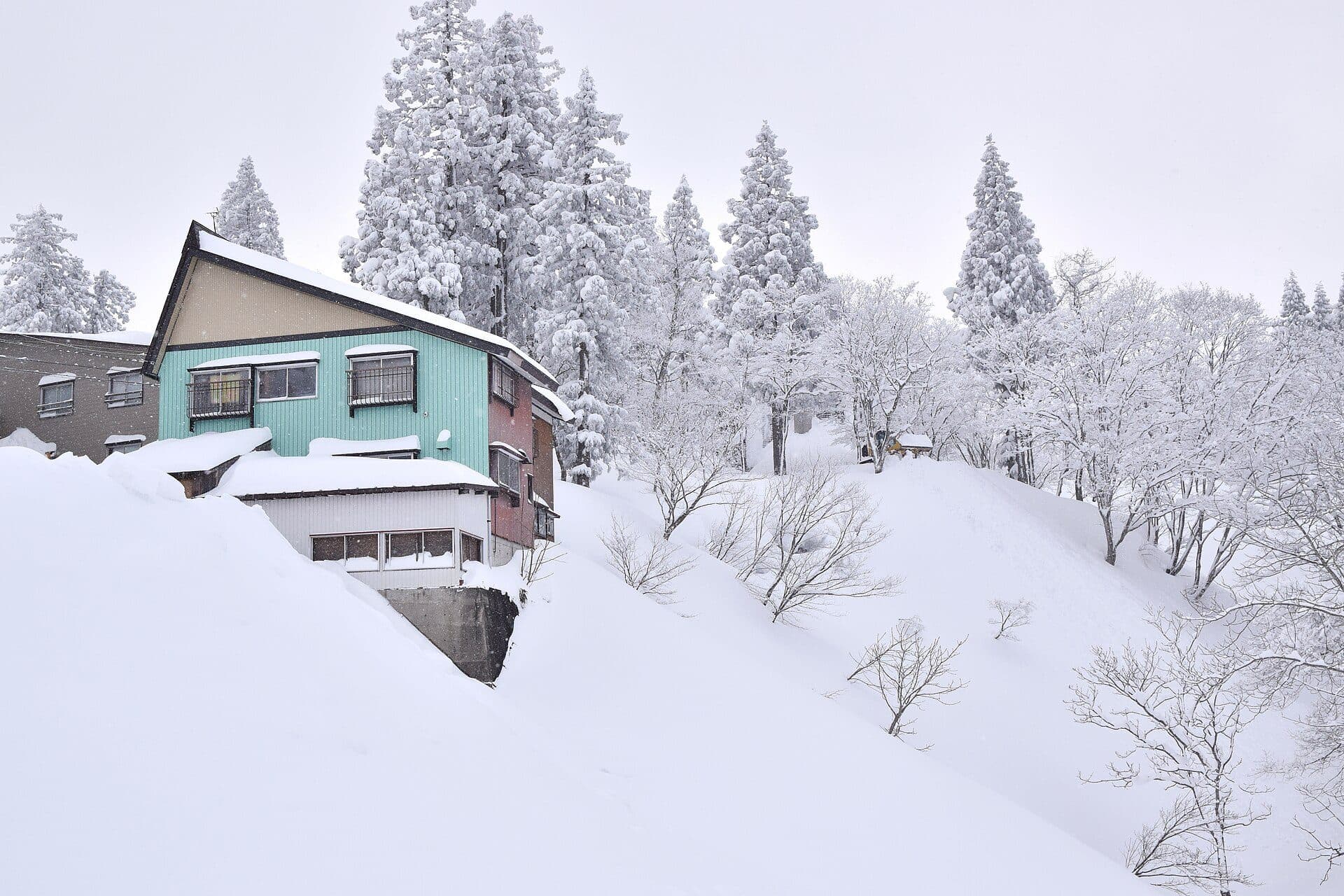 Myoko Kogen winter landscape — snow-covered mountains and powder runs